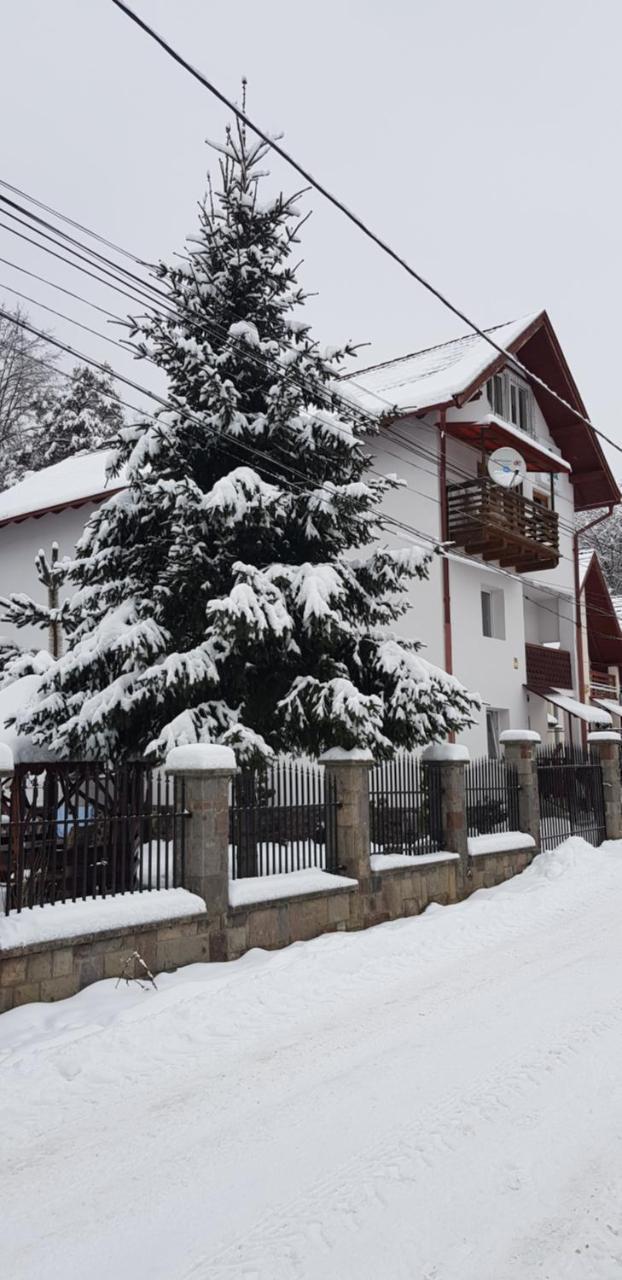 Pensiunea Arinul Hotel Sovata Exterior photo